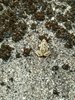 IMG-20161016-WA0004