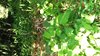 IMG-20161016-WA0006