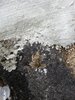 20161015_123628