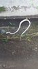 IMG-20161016-WA0007