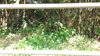 IMG-20161016-WA0081