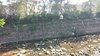 IMG-20161016-WA0053