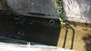 IMG-20161016-WA0080