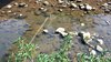 IMG-20161016-WA0073