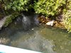 IMG-20161016-WA0005