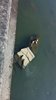 IMG-20161016-WA0061