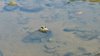 IMG-20161016-WA0062