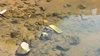 IMG-20161016-WA0057