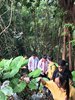 IMG-20161205-WA0024