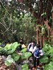 IMG-20161205-WA0036