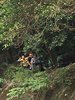 IMG-20161205-WA0020