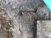 IMG-20161204-WA0006