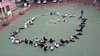 IMG-20170116-WA0021