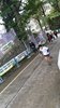 IMG-20170116-WA0019