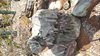 20170121_105724