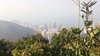 IMG-20170121-WA0034