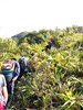 20170121_151327