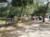 IMG-20170121-WA0046