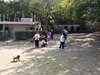20170121_142233
