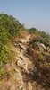 IMG-20170121-WA0068