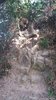 IMG-20170121-WA0073