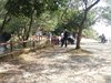 IMG-20170121-WA0044