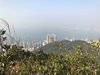 IMG-20170121-WA0078