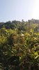 IMG-20170121-WA0070