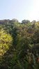 IMG-20170121-WA0074