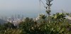 IMG-20170121-WA0047