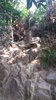 IMG-20170121-WA0058
