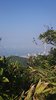IMG-20170121-WA0069