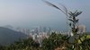 IMG-20170121-WA0035