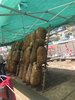 檔案_001 (1)
