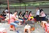 DSC04906