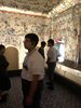 IMG-7369