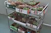 DSC_0898