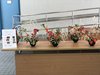 IMG_1368
