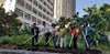 test (17)