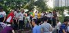test (45)