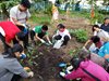 IMG-20191107-WA0015
