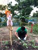 IMG-20191107-WA0011