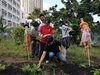 IMG-20191010-WA0017