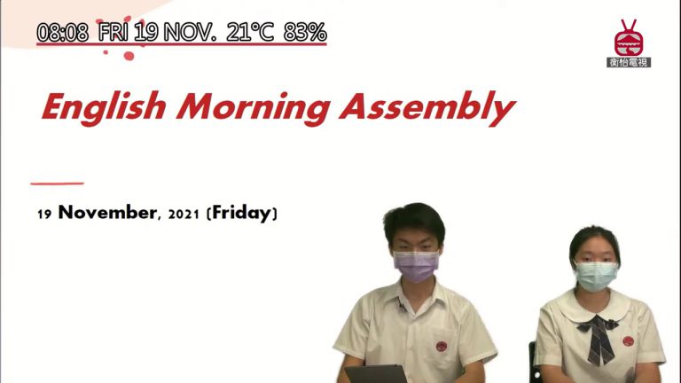 19 November 2021