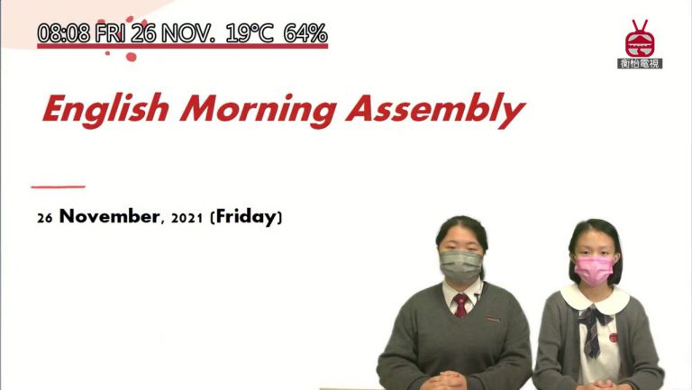 26 November 2021