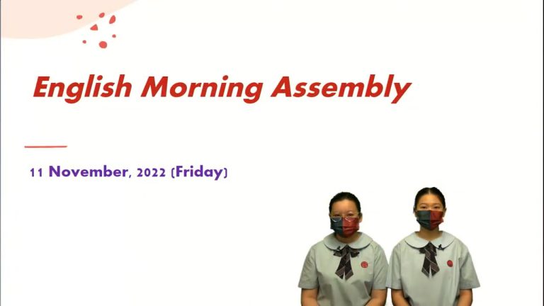 11 November 2022