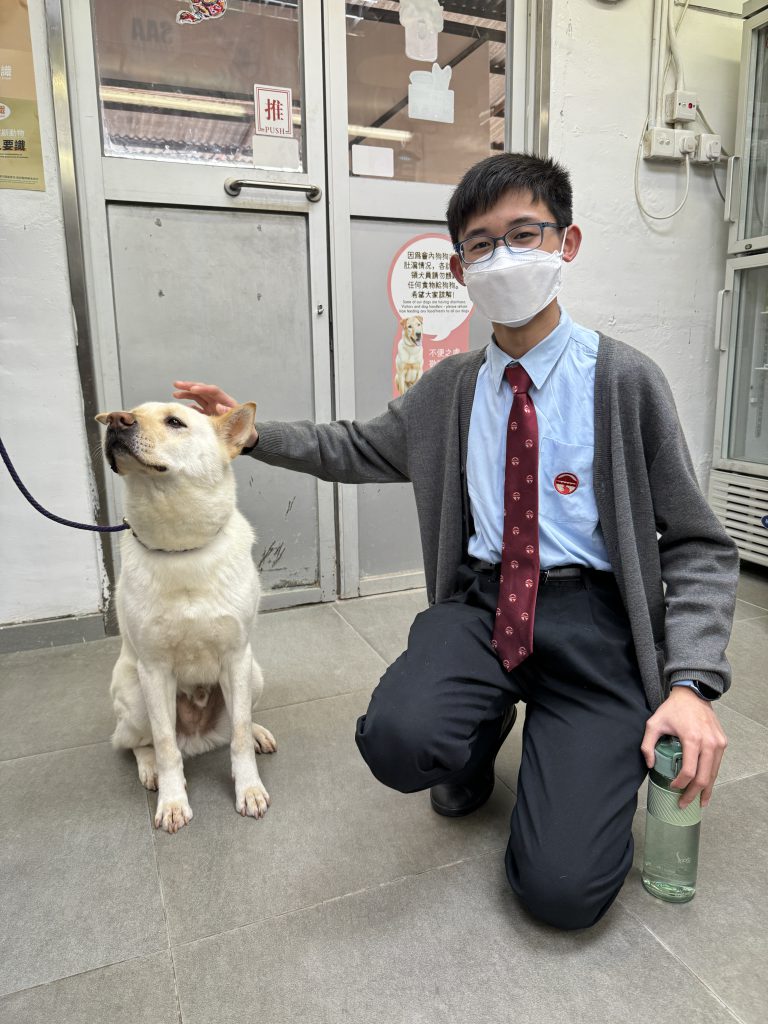價值觀教育組 – 保護遺棄動物協會探訪活動