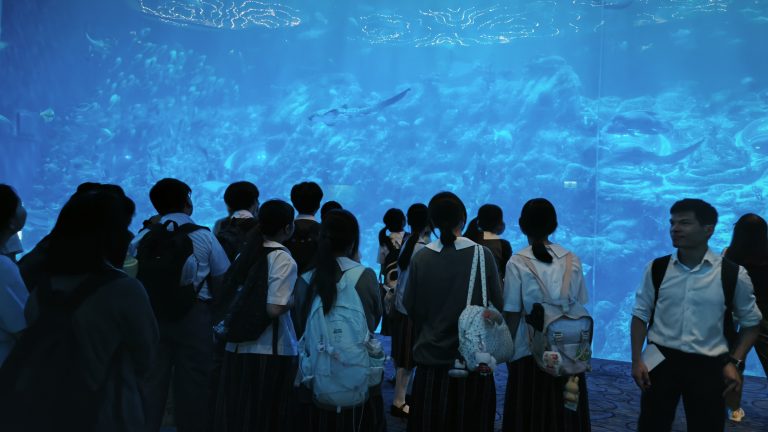 海洋公園教育活動：海洋奇趣大典