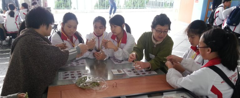賽馬會香港非物質文化遺產公眾教育計劃──香港非物質文化遺產學生大使