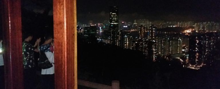 山藝學會野豬徑夜行